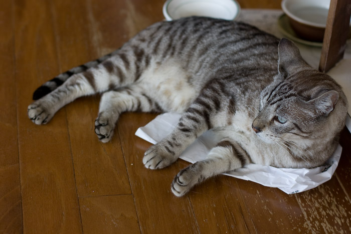 nil