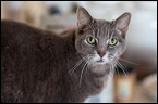 img_1249