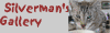 Silverman