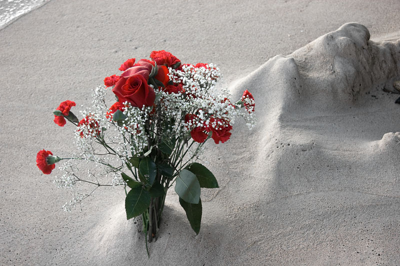 flowers in the sand