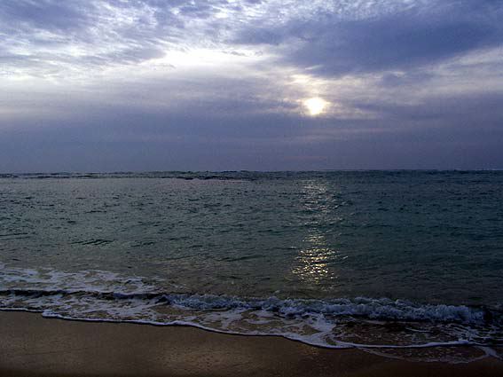 sun0320.jpg