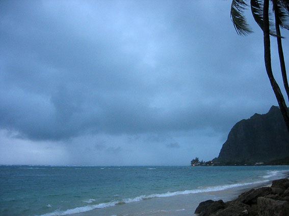 sun1109.jpg