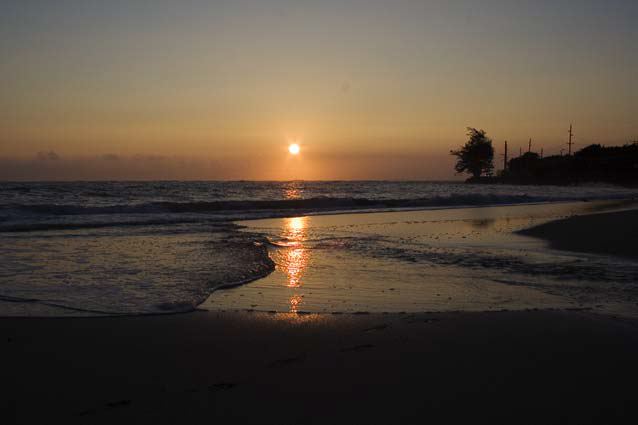 sun1203.jpg