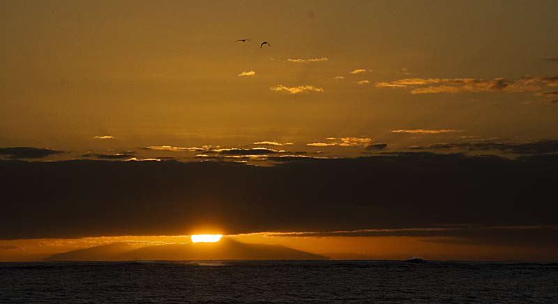 sun1221.jpg