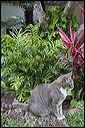img_4191