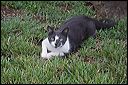 img_4206