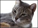 img_5284