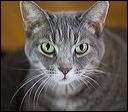 img_5347