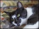 img_5637
