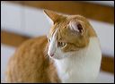 img_5641