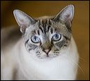 img_5671