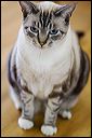 img_5682
