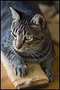 img_5693