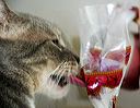 img_6868