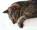 img_7026