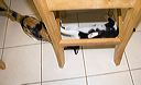 img_4267