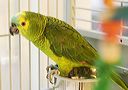 img_4276
