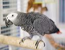 img_4297