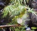 img_4312