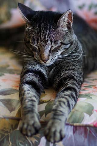 img_9349.jpg