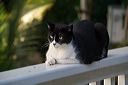img_9550