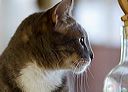 img_9825