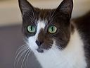 img_9835
