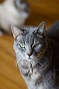 img_9853