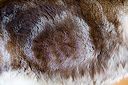 img_9855