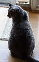 img_9859