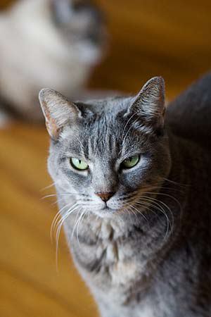 img_9853.jpg