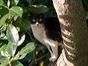 img_0196