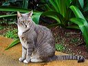 img_0325