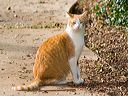 img_0331