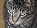 img_0334