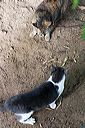 img_0356