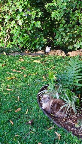 img_0174.jpg