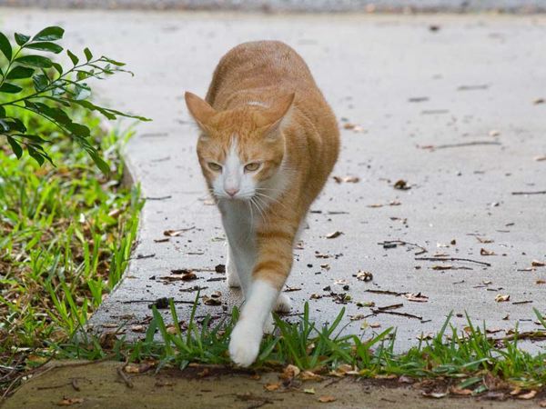 img_0316.jpg
