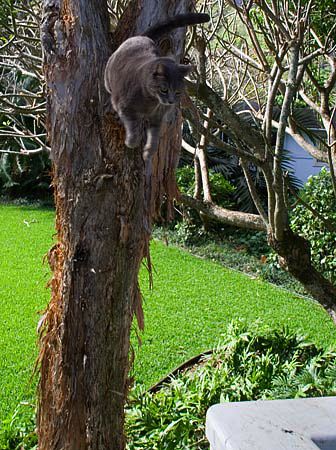 img_1231.jpg