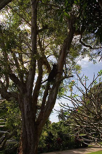 img_2588.jpg
