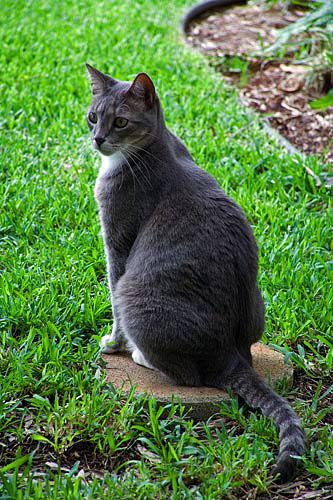 img_2623.jpg