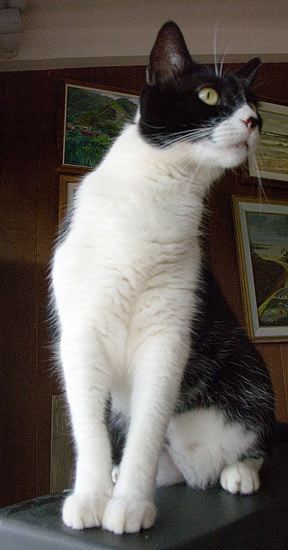 p1000069.jpg