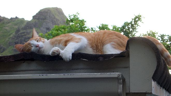 p1000100.jpg