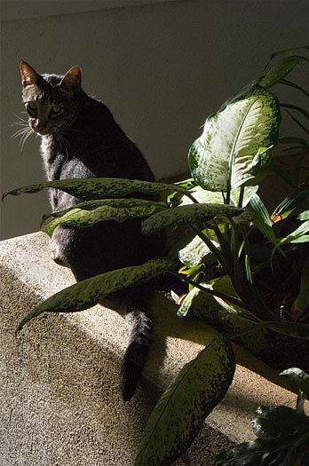 p1000503.jpg