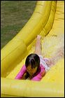 file519