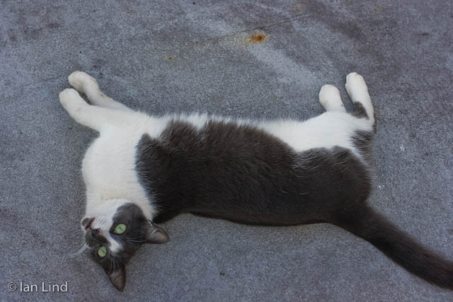 Ms. Annie loves to pose for the camera.