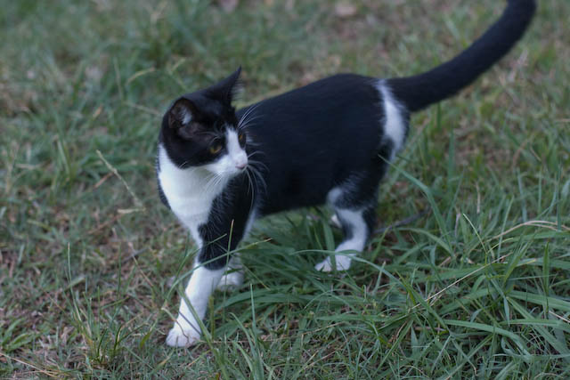 Handsome, isn't he?