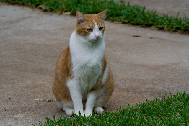 He seemed a model of contentment. But then he gave her the "eye".