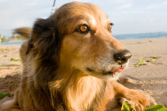 Ms. Roo on Sunday morning.