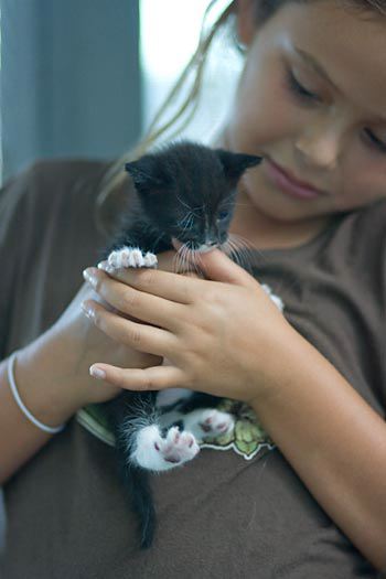 kitten0727-1.jpg
